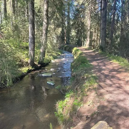 Hahnenklee Blick