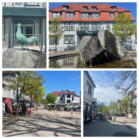 Hahnenklee Blick Apartment Goslar