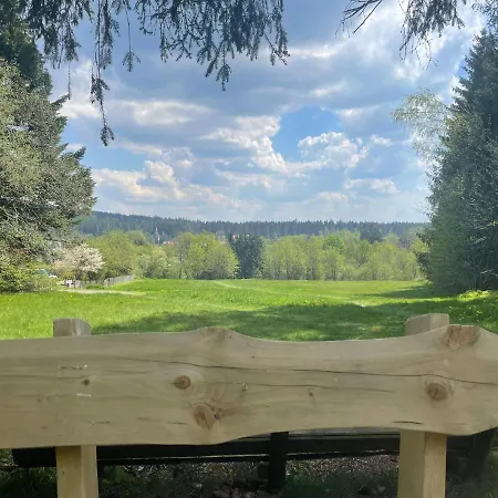 Hahnenklee Blick Apartment *